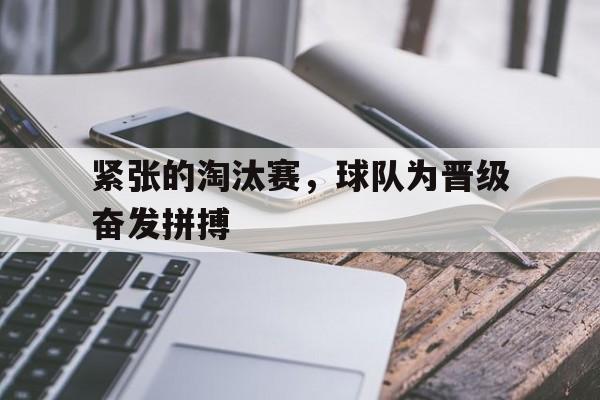 淘汰赛的意思是什么